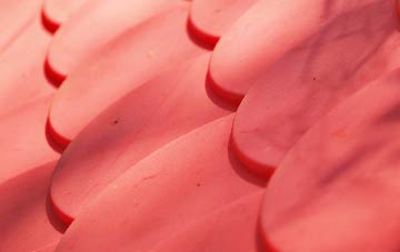 Creekmouth plastic roof costs