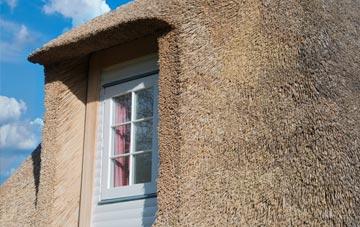 Creekmouth thatch roof disadvantages